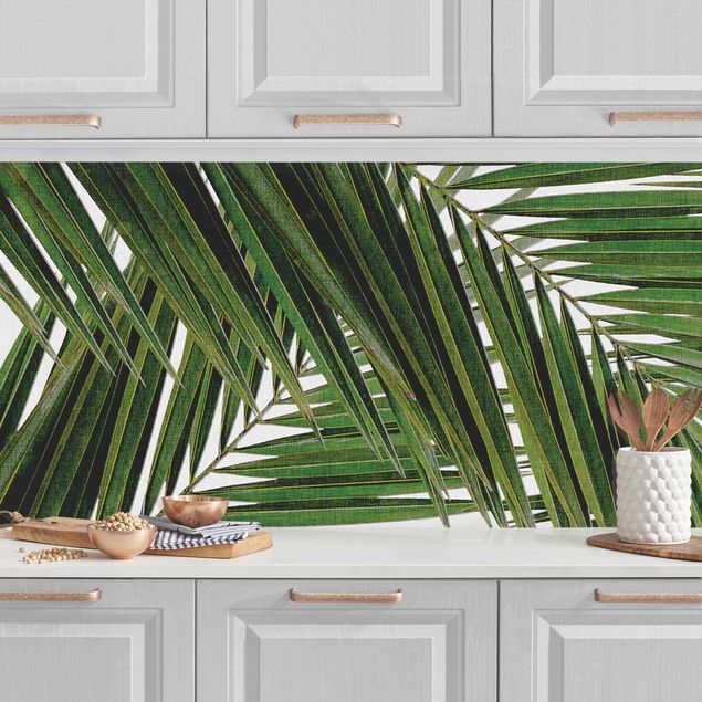 Rivestimenti cucina pannello Vista attraverso le foglie di palma verde