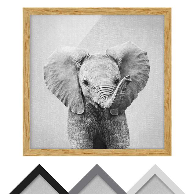 Poster con cornice - Elefantina Elsa in bianco e nero