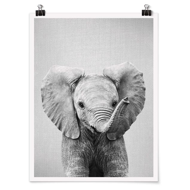 Poster riproduzione - Elefantina Elsa in bianco e nero
