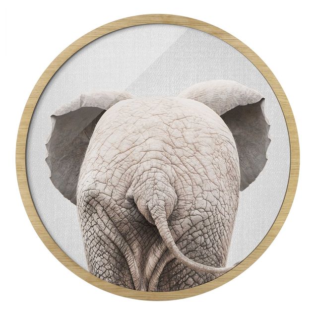 Quadro rotondo incorniciato - Elefantino da dietro