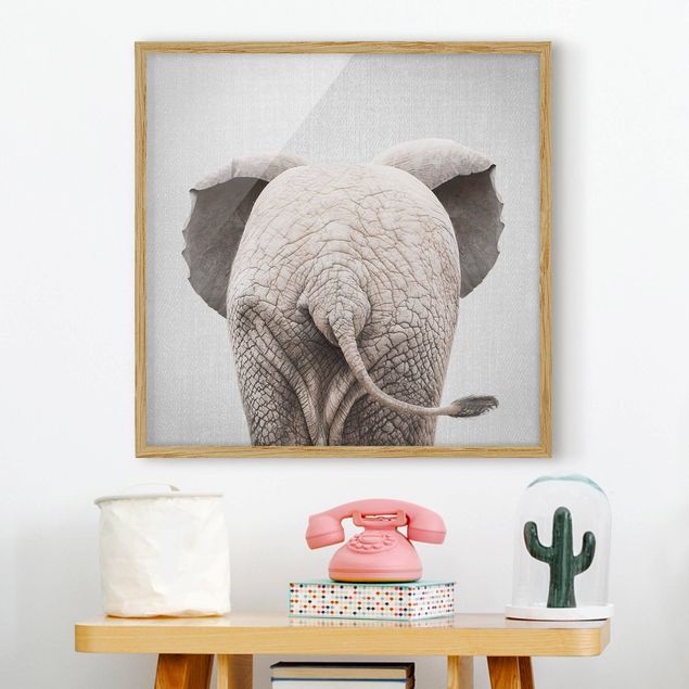 quadri con animali Elefantino da dietro