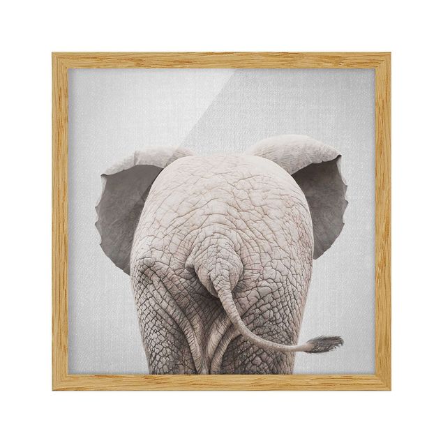Poster con cornice - Elefantino da dietro