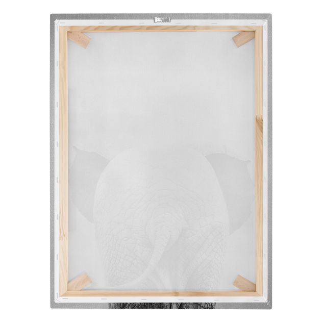 Stampa su tela Elefantino da dietro bianco e nero