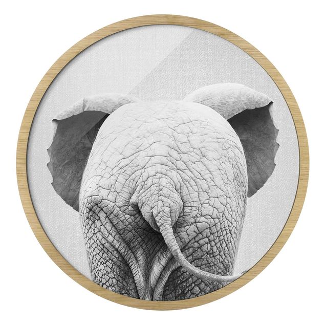Quadro rotondo incorniciato - Elefantino da dietro bianco nero