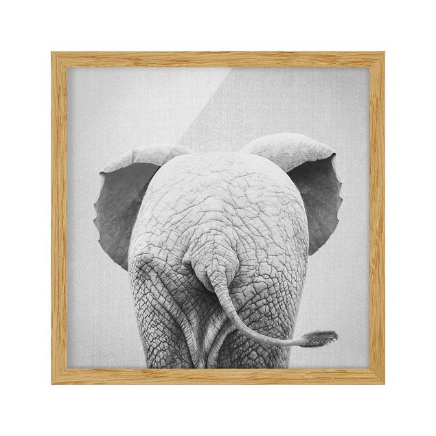 Poster con cornice - Elefantino da dietro bianco nero