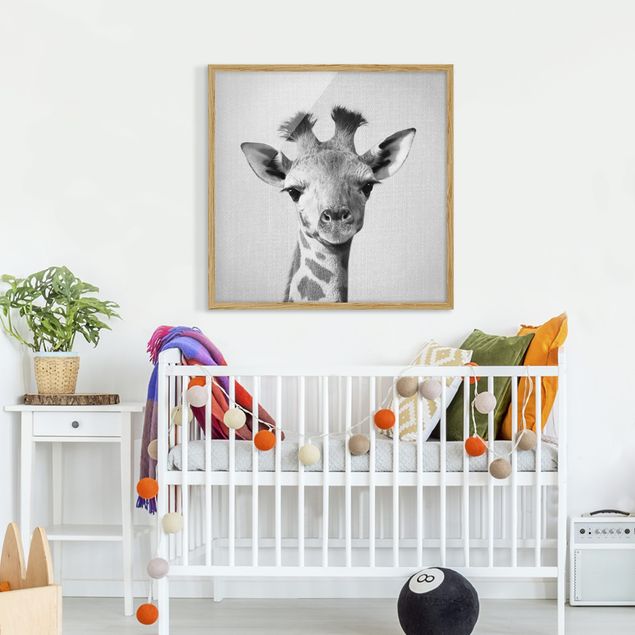 Poster con cornice - Piccola giraffa Gandalf in bianco e nero