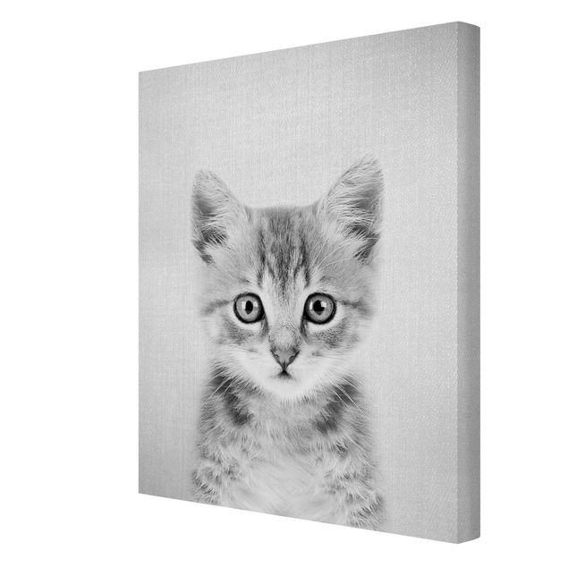 Gal Design quadri Cucciolo di gatto Killi Bianco e Nero