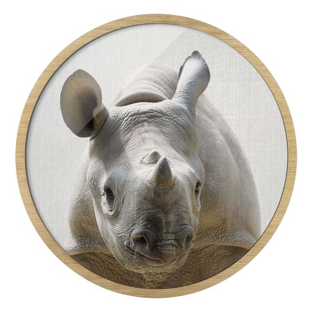 Quadro rotondo incorniciato - Piccolo rinoceronte Nina