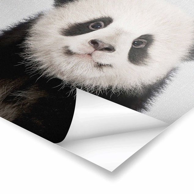 Poster riproduzione - Piccolo panda Prian