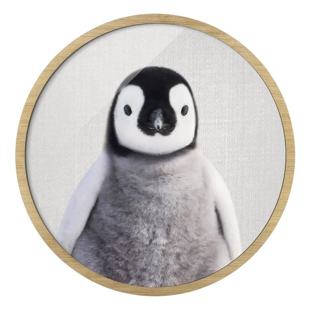 Quadro rotondo incorniciato - Piccolo pinguino Pepe