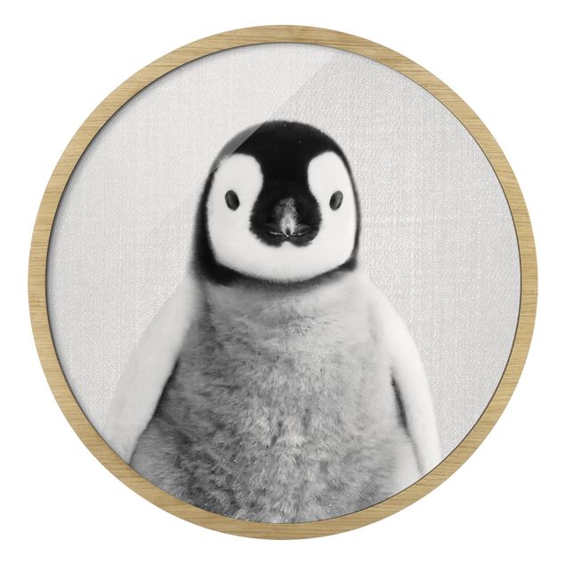 Quadro rotondo incorniciato - Piccolo pinguino Pepe in bianco e nero
