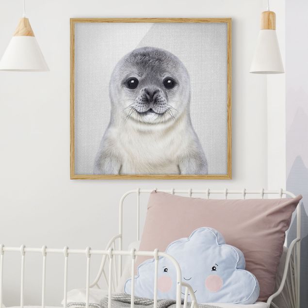 quadri con animali Piccola foca Ronny