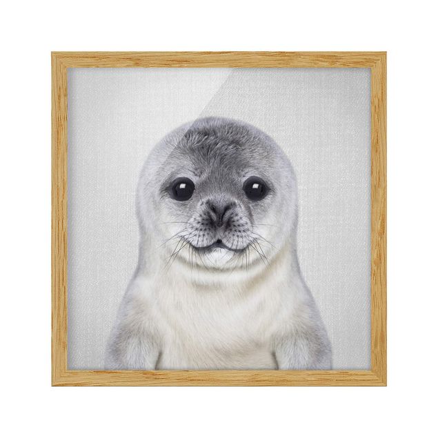 Poster con cornice - Piccola foca Ronny