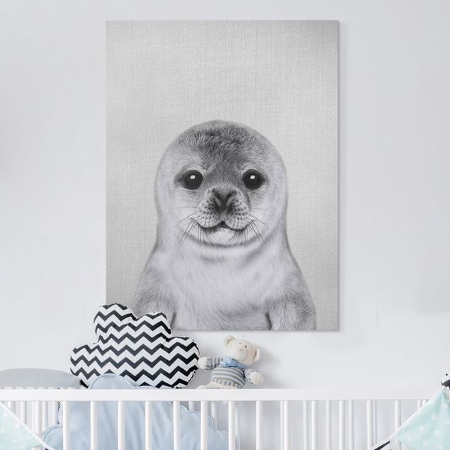 stampe animali Piccola foca Ronny Bianco e Nero