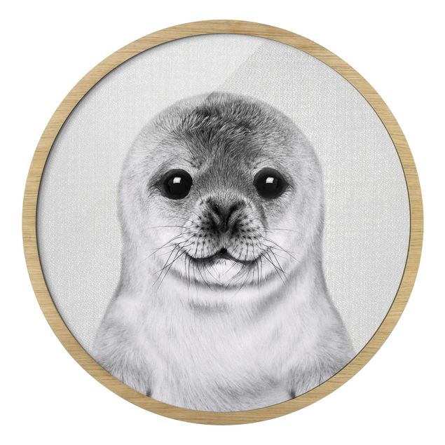 Quadro rotondo incorniciato - Piccola foca Ronny in bianco e nero