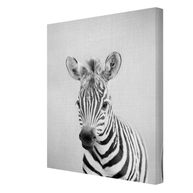 Gal Design quadri Cucciolo di Zebra Zoey Bianco e Nero