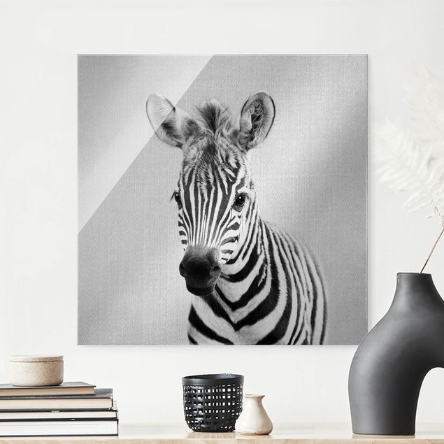 quadri con animali Cucciolo di Zebra Zoey Bianco e Nero