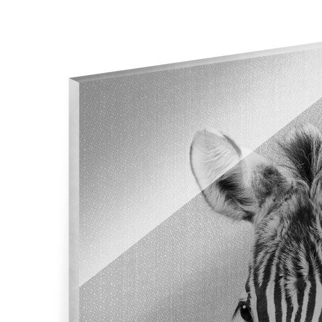 Quadro in vetro - Piccola zebra Zoey in bianco e nero