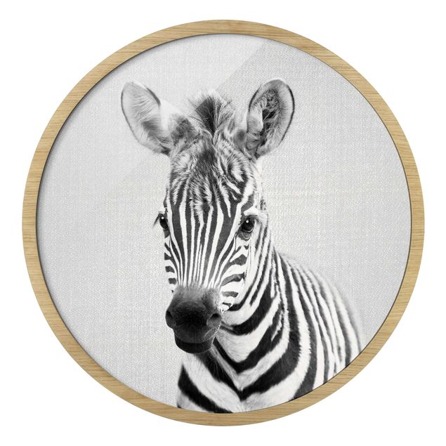 Quadro rotondo incorniciato - Piccola zebra Zoey in bianco e nero