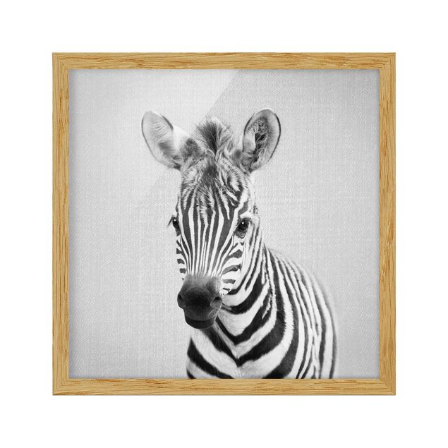 Poster con cornice - Piccola zebra Zoey in bianco e nero