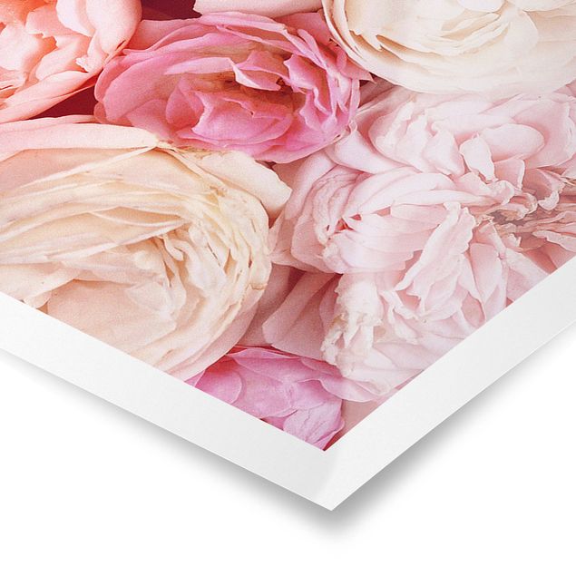 Poster - Rose Rose Coral Shabby - Panorama formato orizzontale