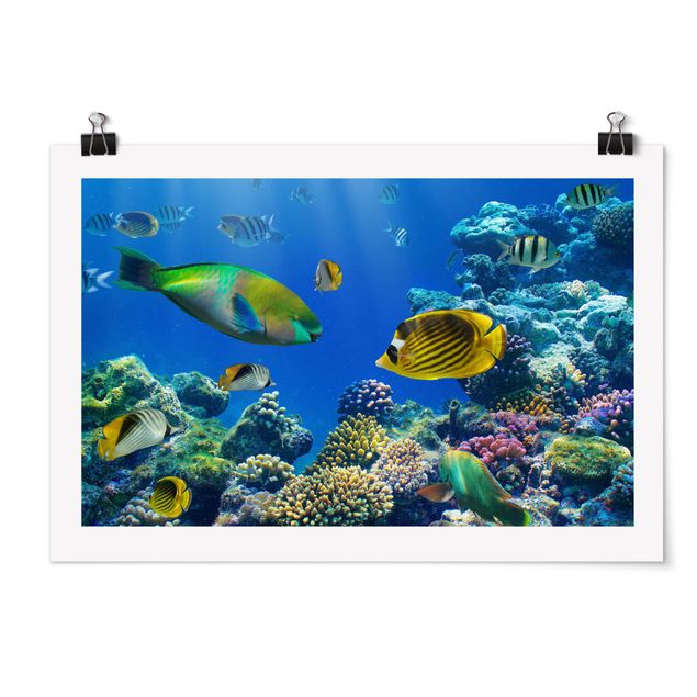 Poster - Underwater Lights - Orizzontale 2:3