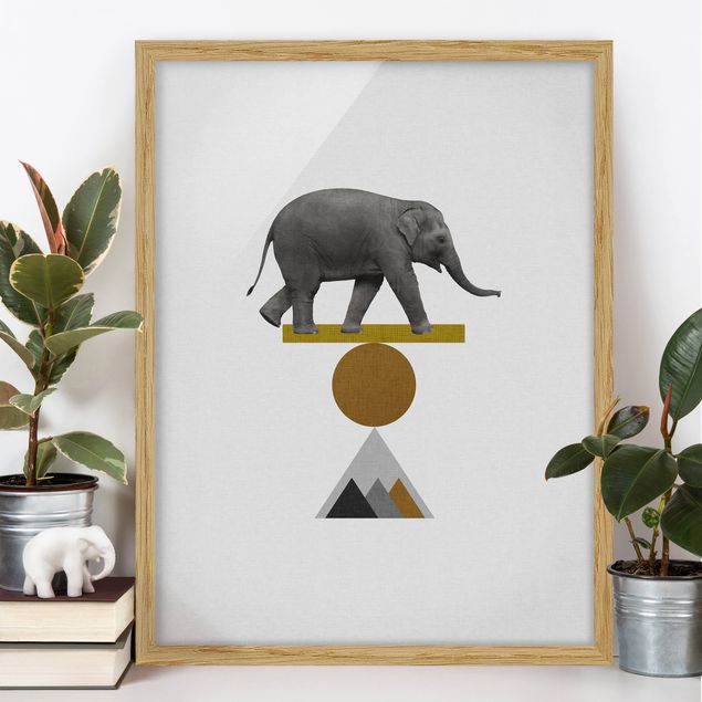 Poster con cornice - Elefante nell'arte dell'equilibrio