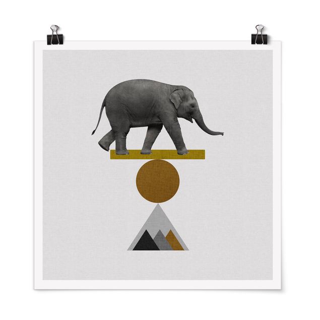 Poster - Elefante nell'arte dell'equilibrio