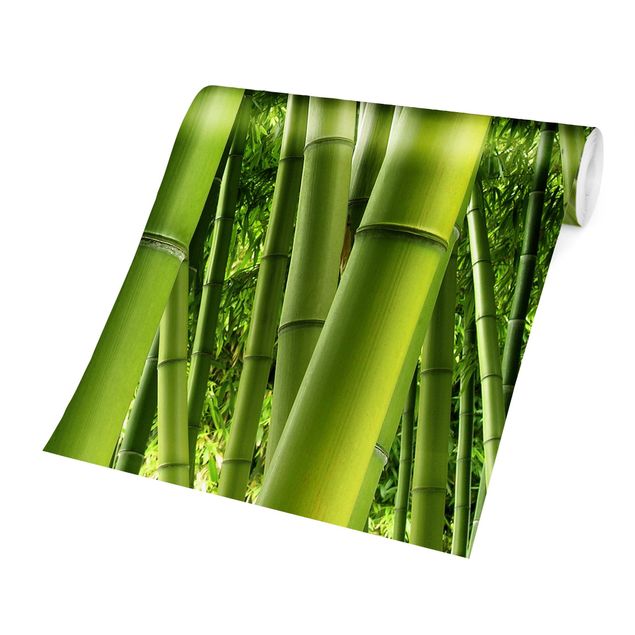 Carta da parati - Bamboo Trees