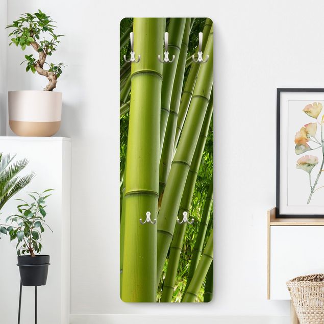 Appendiabiti - Bamboo Trees