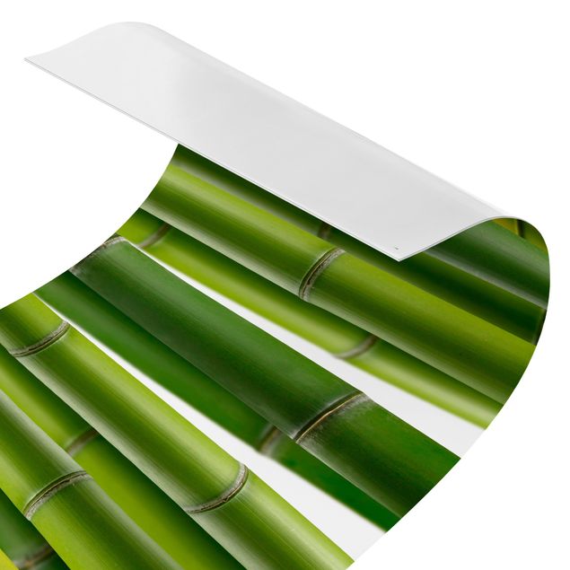 Rivestimento cucina verde Piante di bambù II