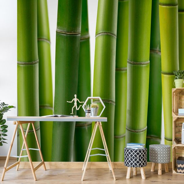 Carta da parati - Bamboo Plants