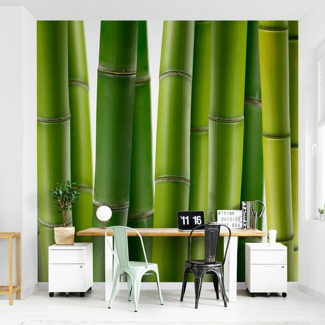 Carta da parati - Bamboo Plants