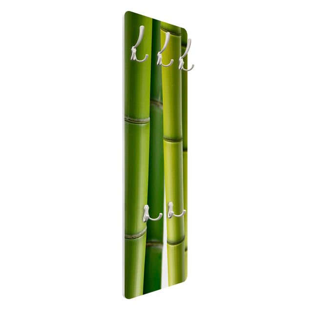 Appendiabiti - Bamboo plants