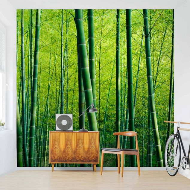 Carta da parati - Foresta di bambù