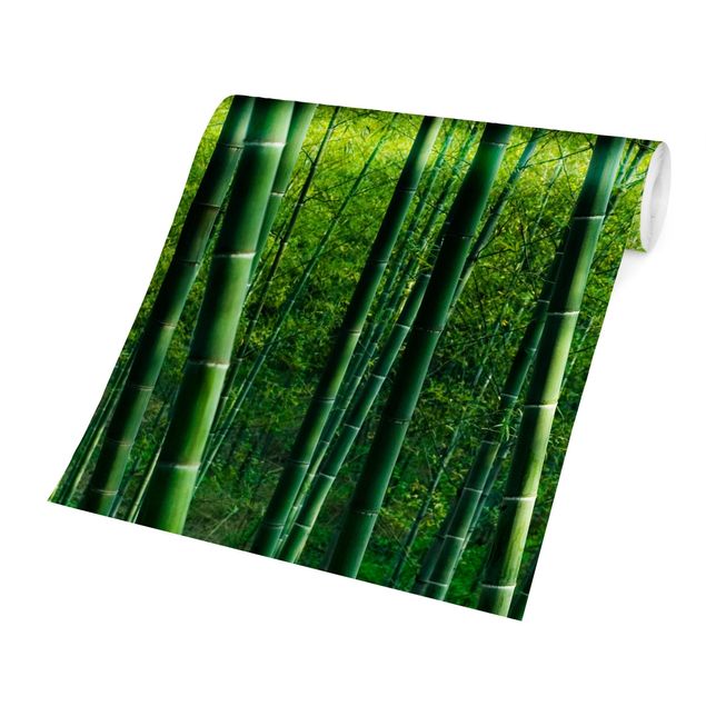 Carta da parati - Foresta di bambù