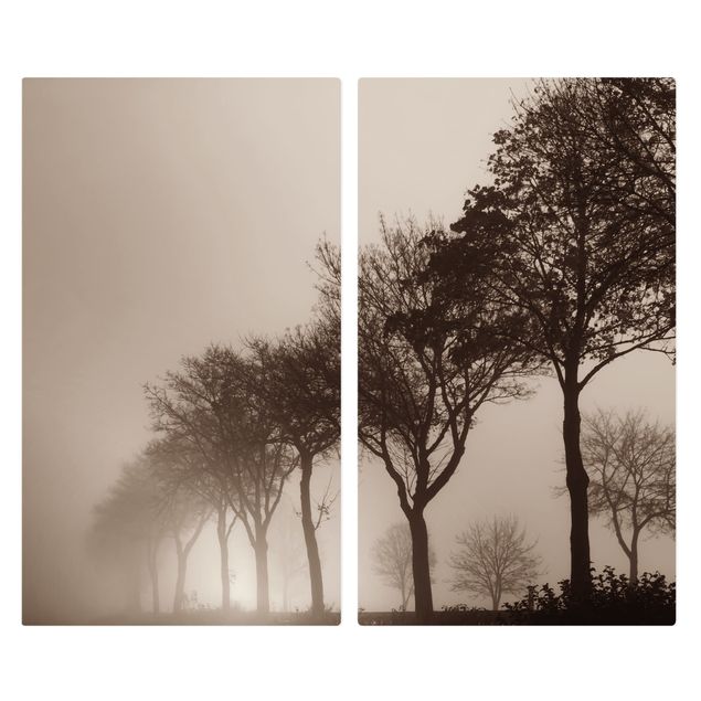 Coprifornelli - Viale alberato nella nebbia mattutina