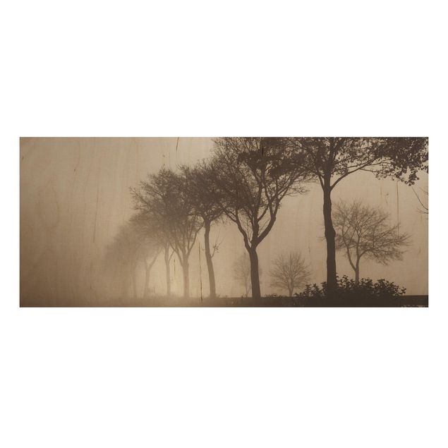 Stampa su legno - Viale alberato nella nebbia mattutina