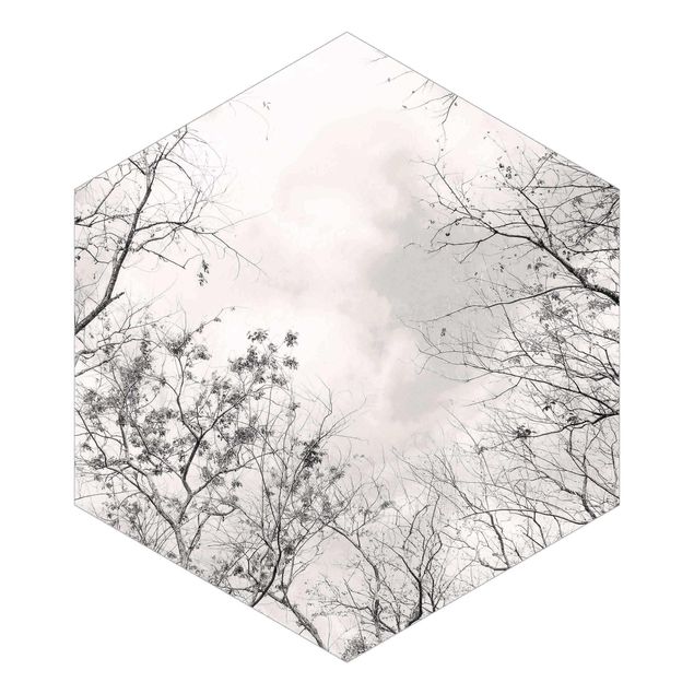 Fotomurale esagonale autoadesivo - Cime degli alberi nel cielo grigio dai toni grigio-caldo