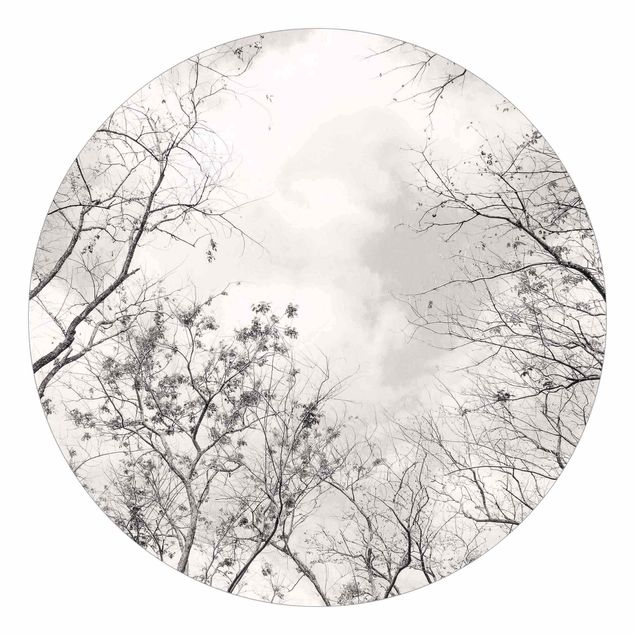 Carte da parati rotonde - Cime degli alberi nel cielo grigio dai toni grigio-caldo