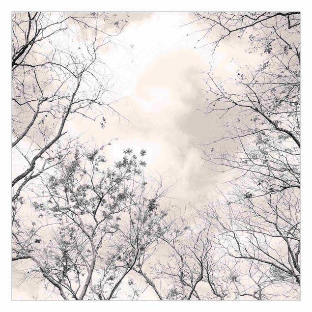 Carta da parati  - Cime degli alberi nel cielo grigio dai toni grigio-caldo