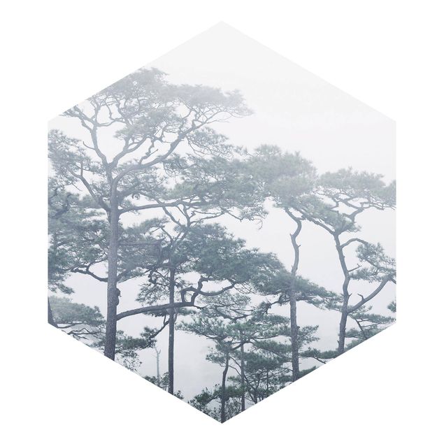 Carta da parati esagonale adesiva con disegni - Chiome degli alberi nella nebbia