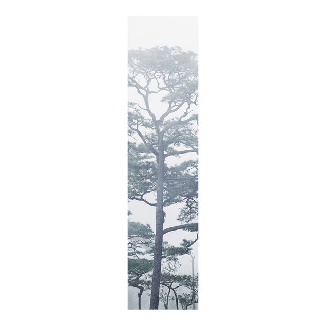 set tende a pannello Cime degli alberi nella nebbia