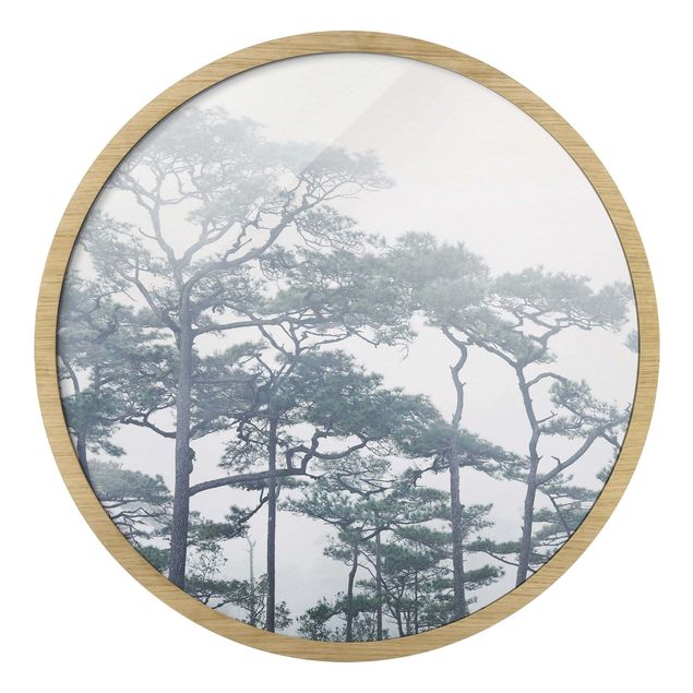 Quadro rotondo incorniciato - Chiome degli alberi nella nebbia