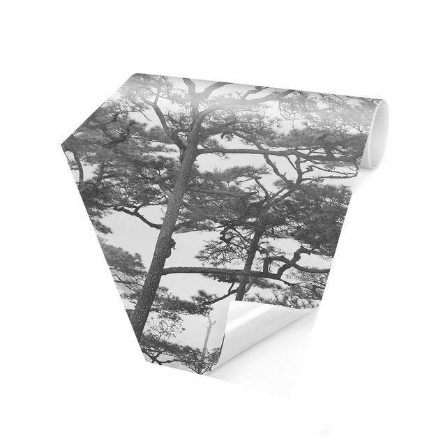Carta da parati esagonale adesiva con disegni - Chiome degli alberi nella nebbia in bianco e nero