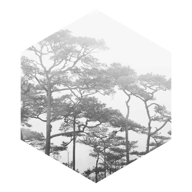 Carta da parati esagonale adesiva con disegni - Chiome degli alberi nella nebbia in bianco e nero
