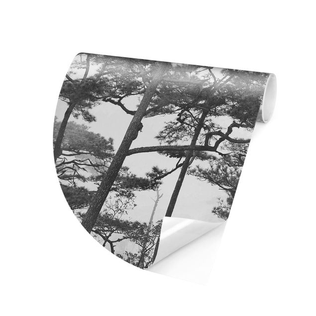 Carta da parati rotonda autoadesiva - Cime degli alberi in nebbia in bianco e nero