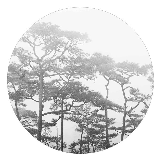 Carta da parati rotonda autoadesiva - Cime degli alberi in nebbia in bianco e nero