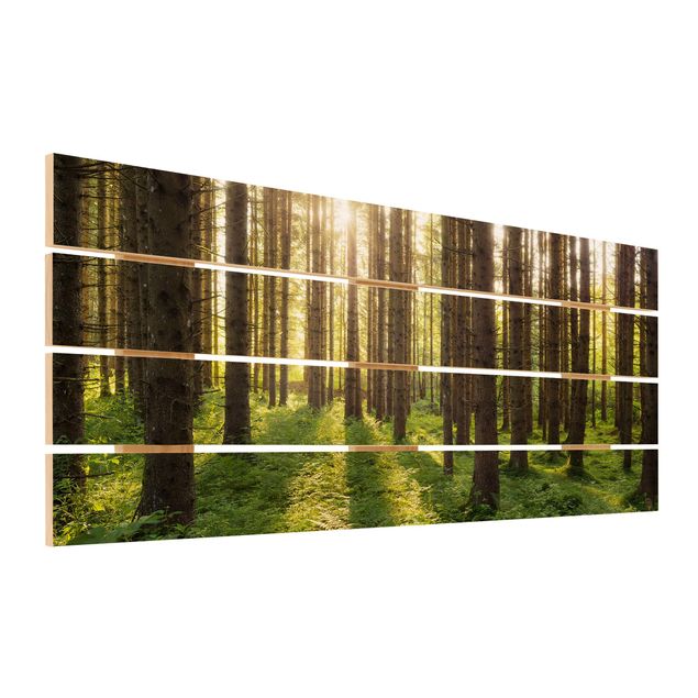 Stampa su legno - Raggi di Sun nel verde della foresta - Orizzontale 2:5