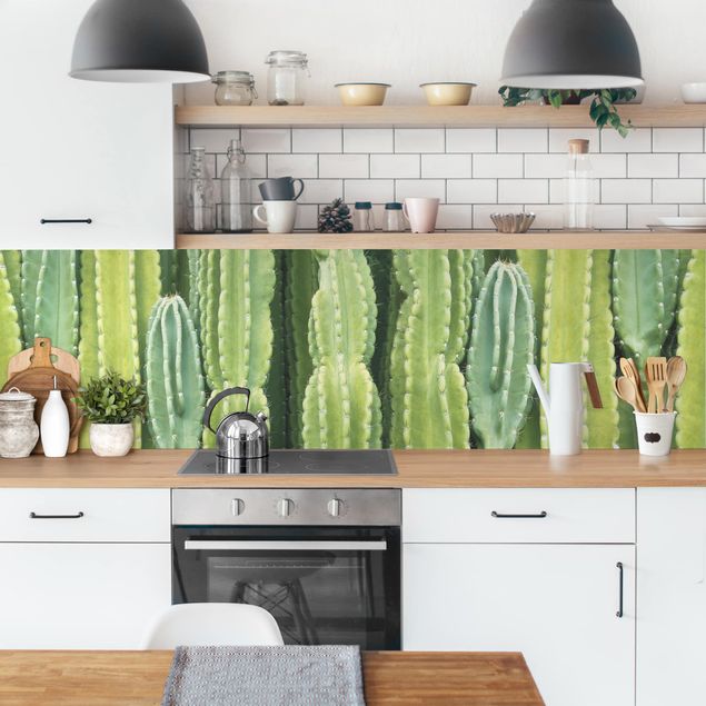 Rivestimenti cucina di plastica Muro di cactus